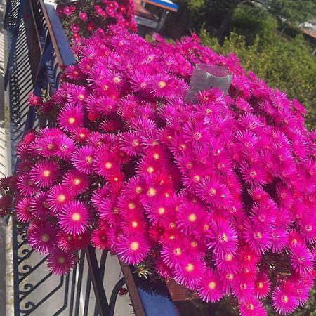 Bougainvillea Relais Σορέντο Εξωτερικό φωτογραφία